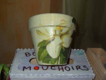 Fleurs blanches