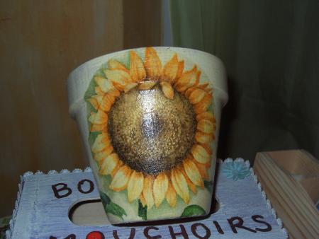 Tournesols